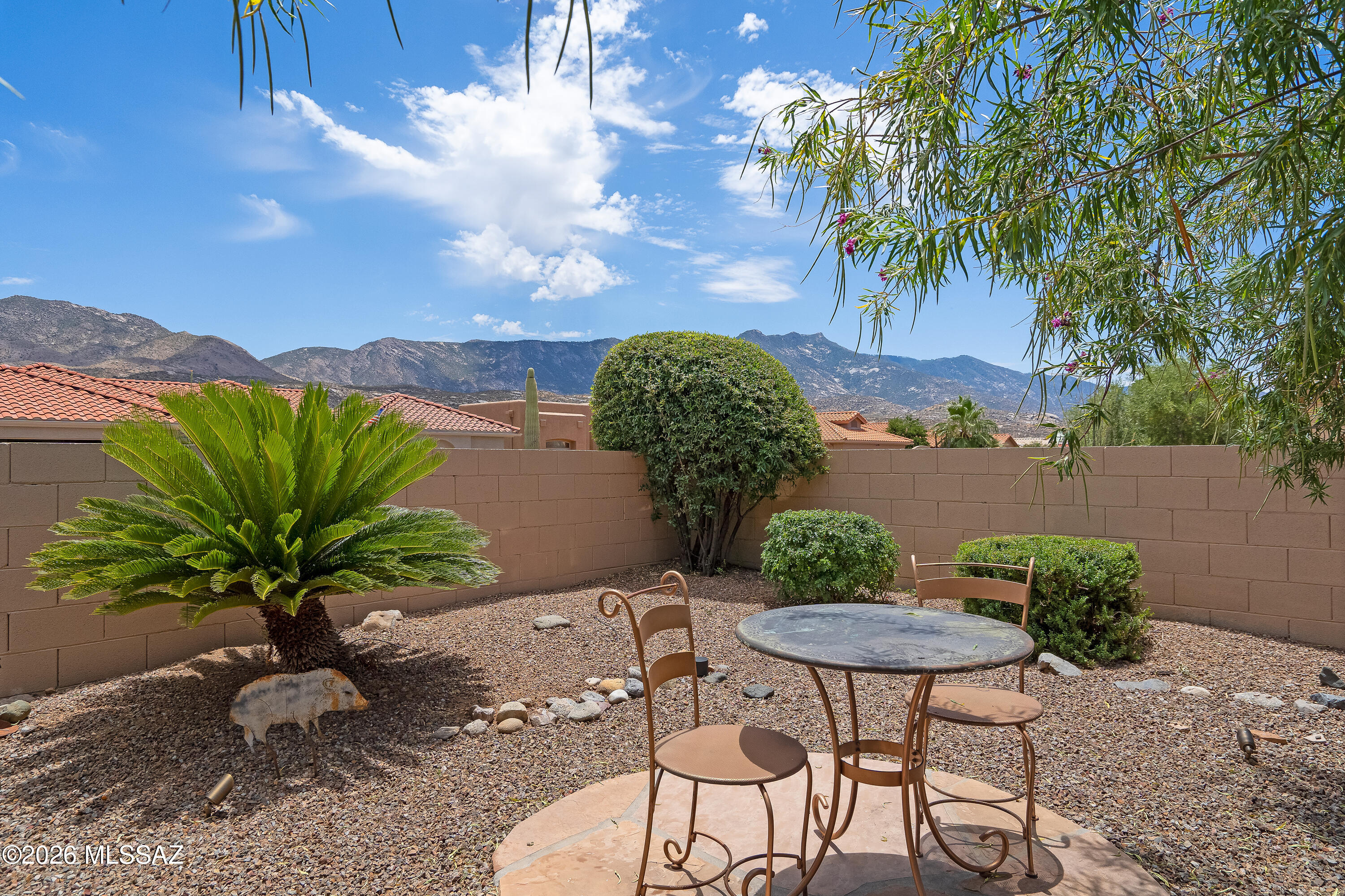 65885 East Desert Ridge Drive Tucson, AZ 85739 - Photo 33 of 35