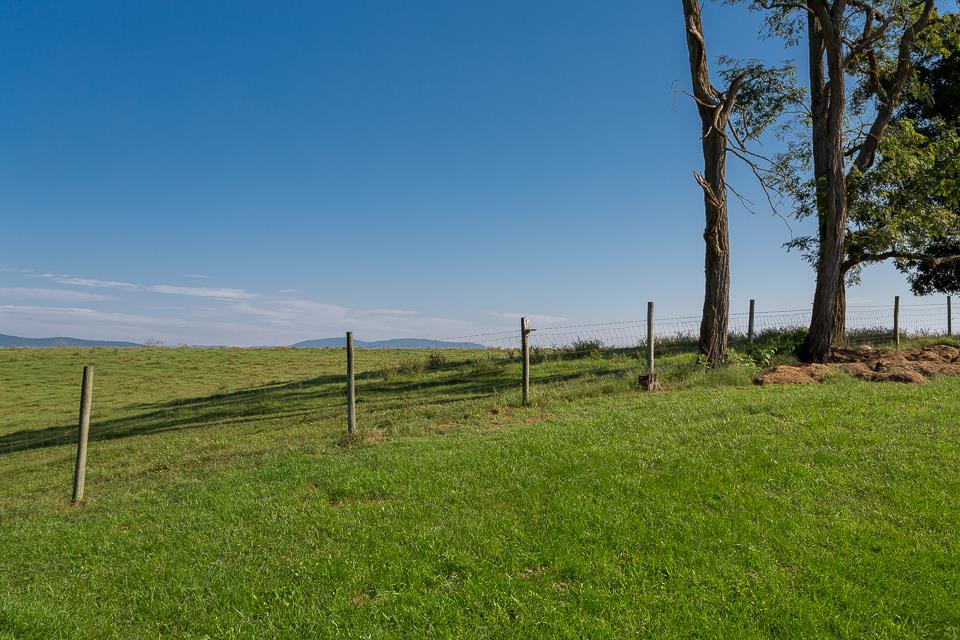 5296 Briery Branch Road Dayton, VA 22821 - Photo 41 of 45 a view of a park with large trees