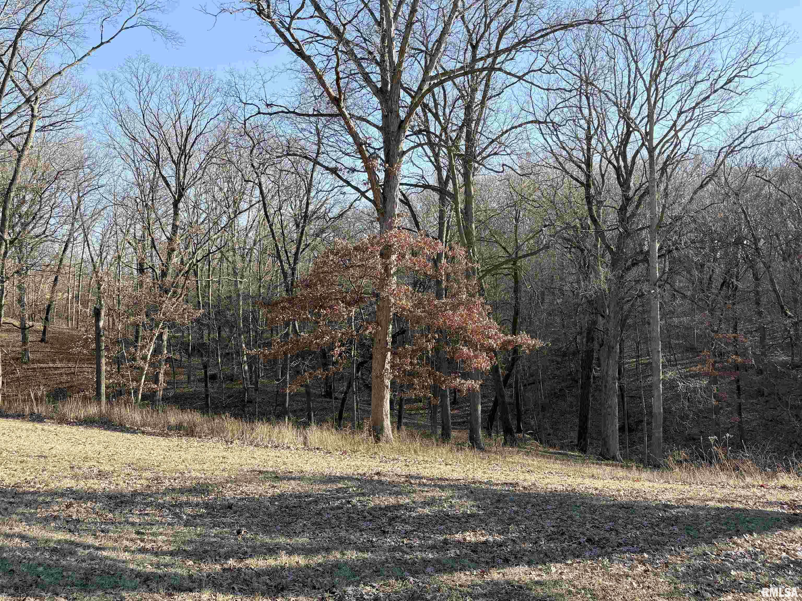 209 East Alconbury Road Metamora, IL 61548 - Photo 72 of 78