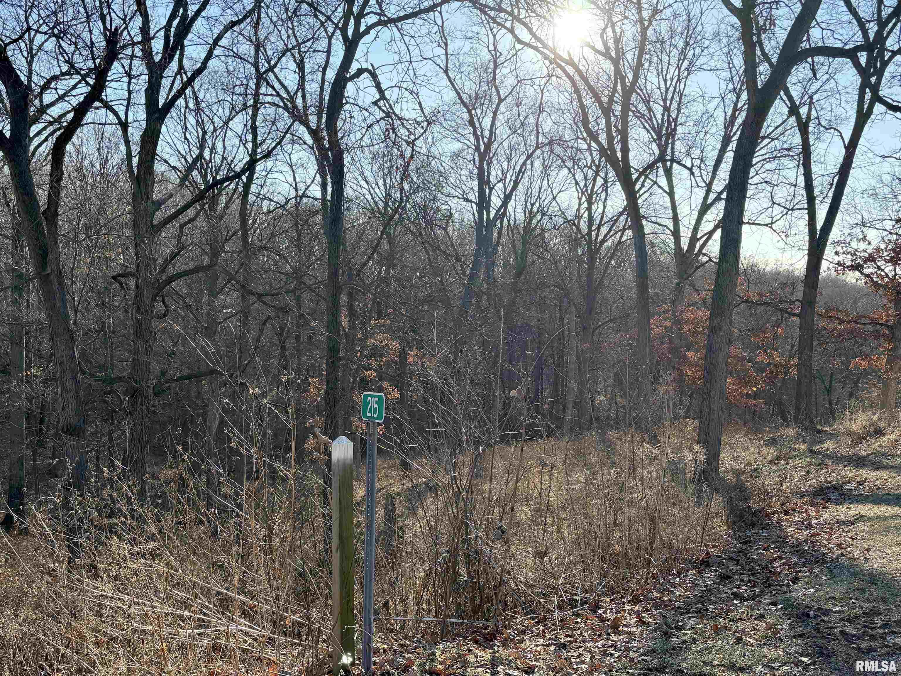 209 East Alconbury Road Metamora, IL 61548 - Photo 77 of 78