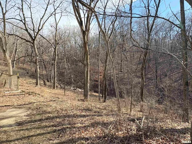 $299,900 | 209 East Alconbury Road, Metamora, IL 61548