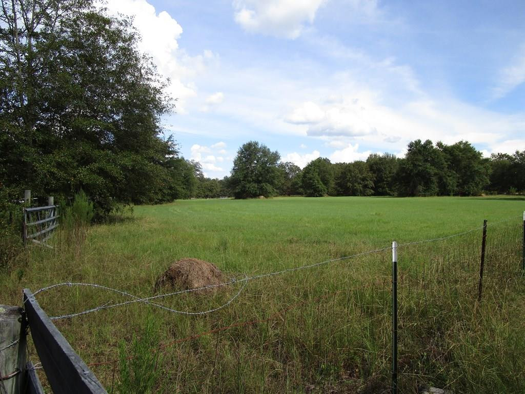 3480 Camp Rawls Road Wagener, SC 29164 - Photo 6 of 40