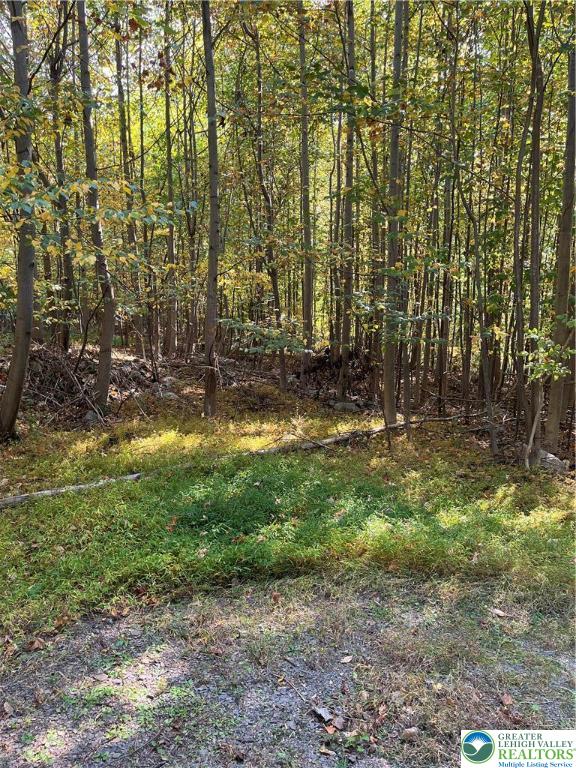 7893 Leaser Road Kempton, PA 19529 - Photo 2 of 4