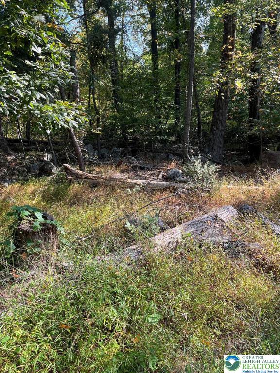 7893 Leaser Road Kempton, PA 19529 - Photo 3 of 4