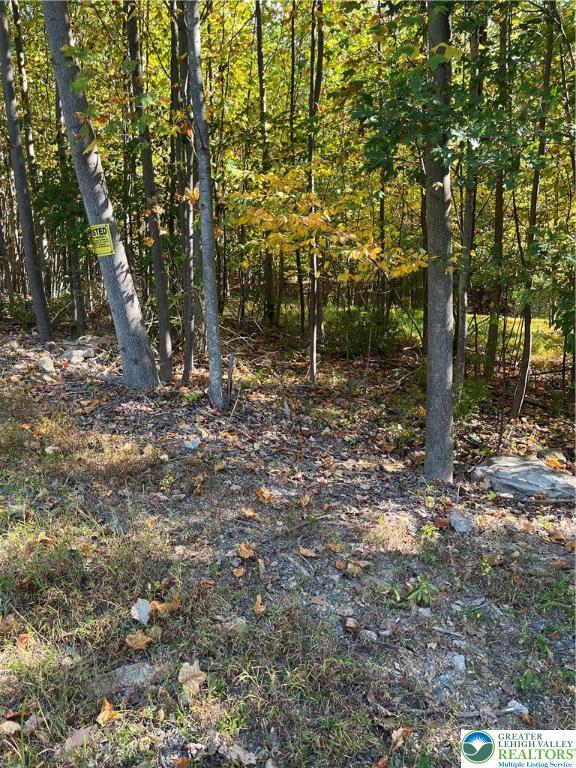 7893 Leaser Road Kempton, PA 19529 - Photo 4 of 4