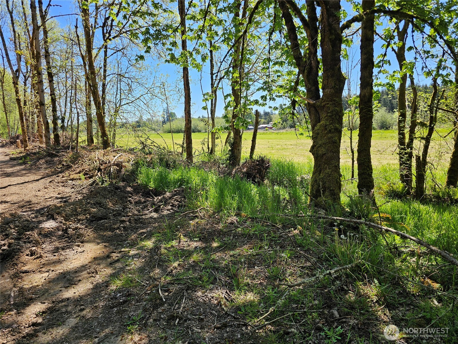 145 Remy Chehalis, WA 98532 - Photo 11 of 25 Gallery Image 11