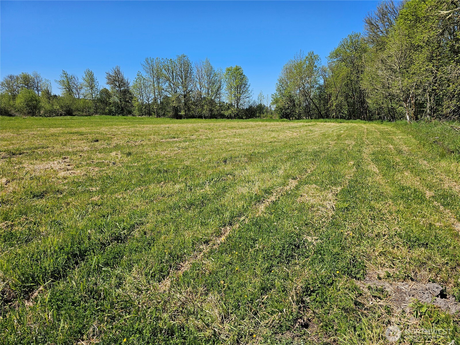 145 Remy Chehalis, WA 98532 - Photo 3 of 25 Gallery Image 3