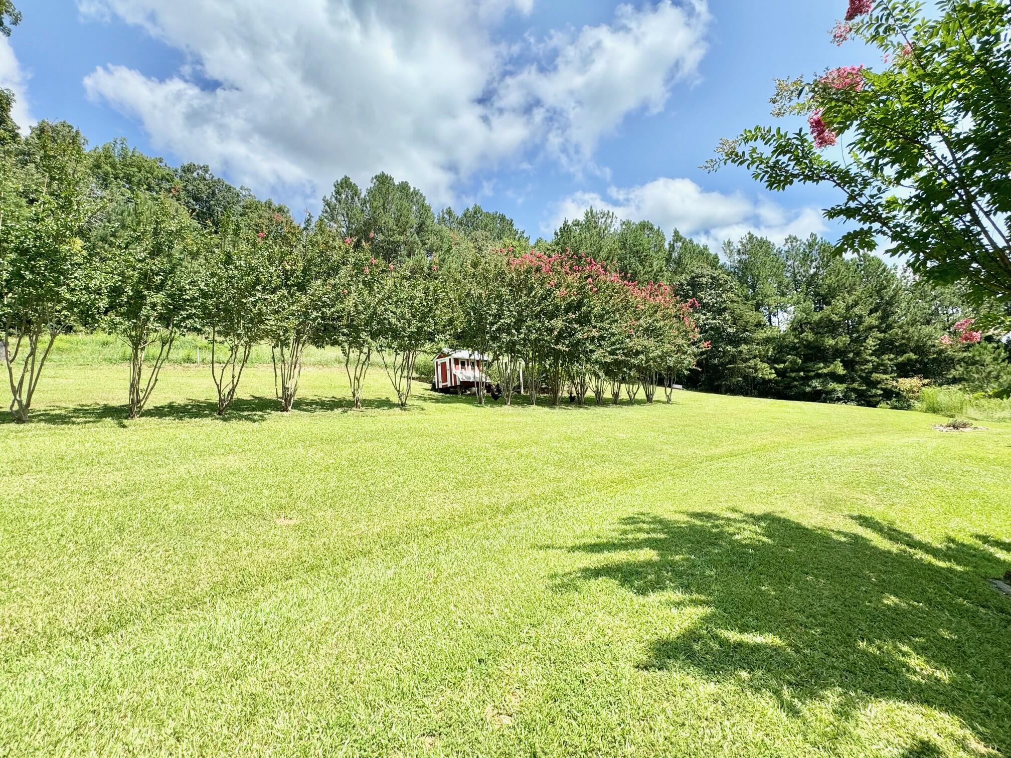 78 McGill Road Lyerly, GA 30730 - Photo 21 of 25 IMG_9140
