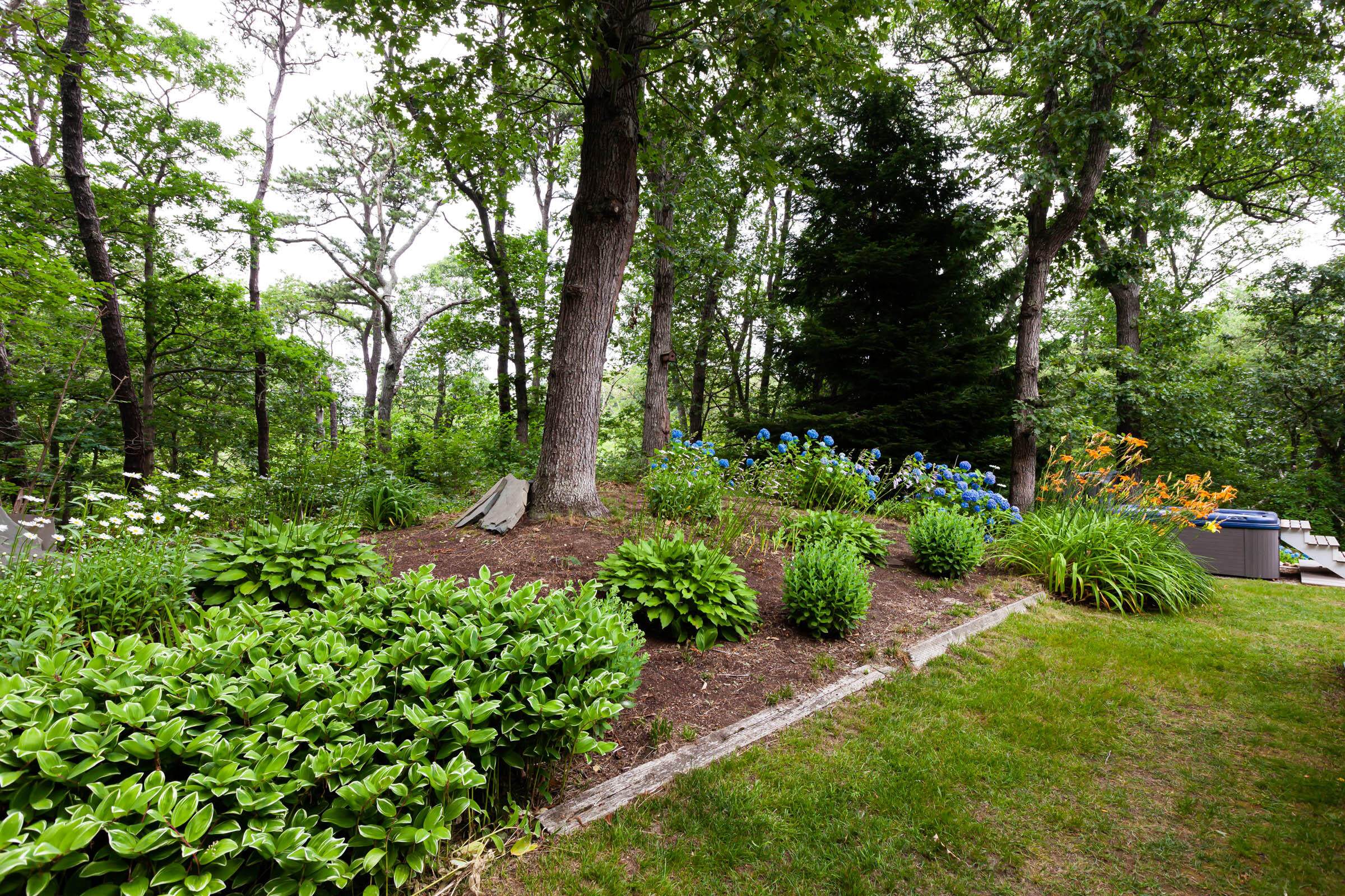 176 Monument Road Orleans, MA 02653 - Photo 50 of 55 a view of a garden with plants and trees
