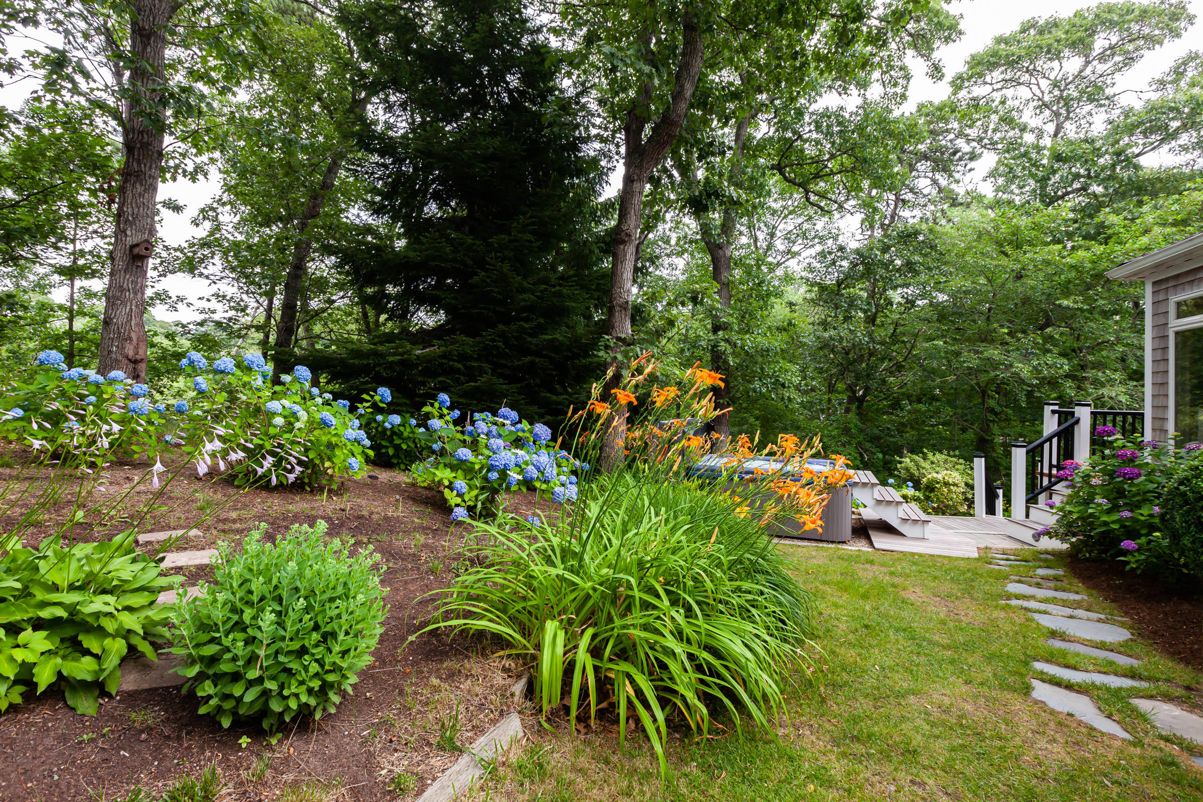 176 Monument Road Orleans, MA 02653 - Photo 51 of 55 a view of a yard with plants and large trees