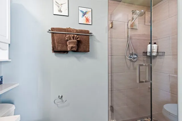 a bathroom with a shower and a toilet