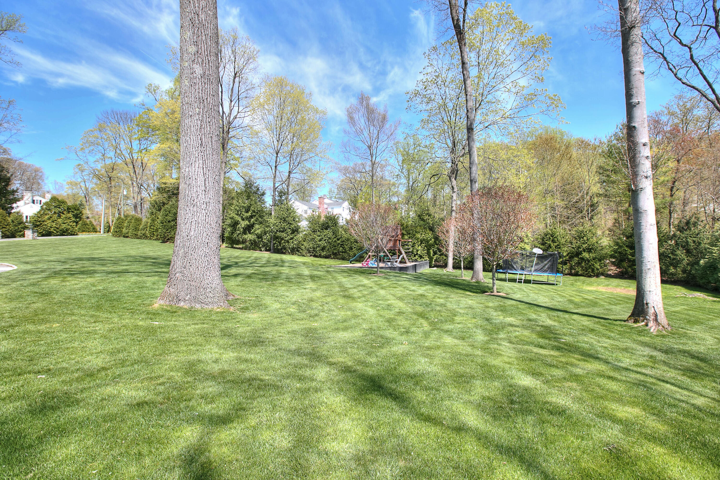 128 Dunning Road New Canaan, CT 06840 - Photo 43 of 49 a view of a field with a tree