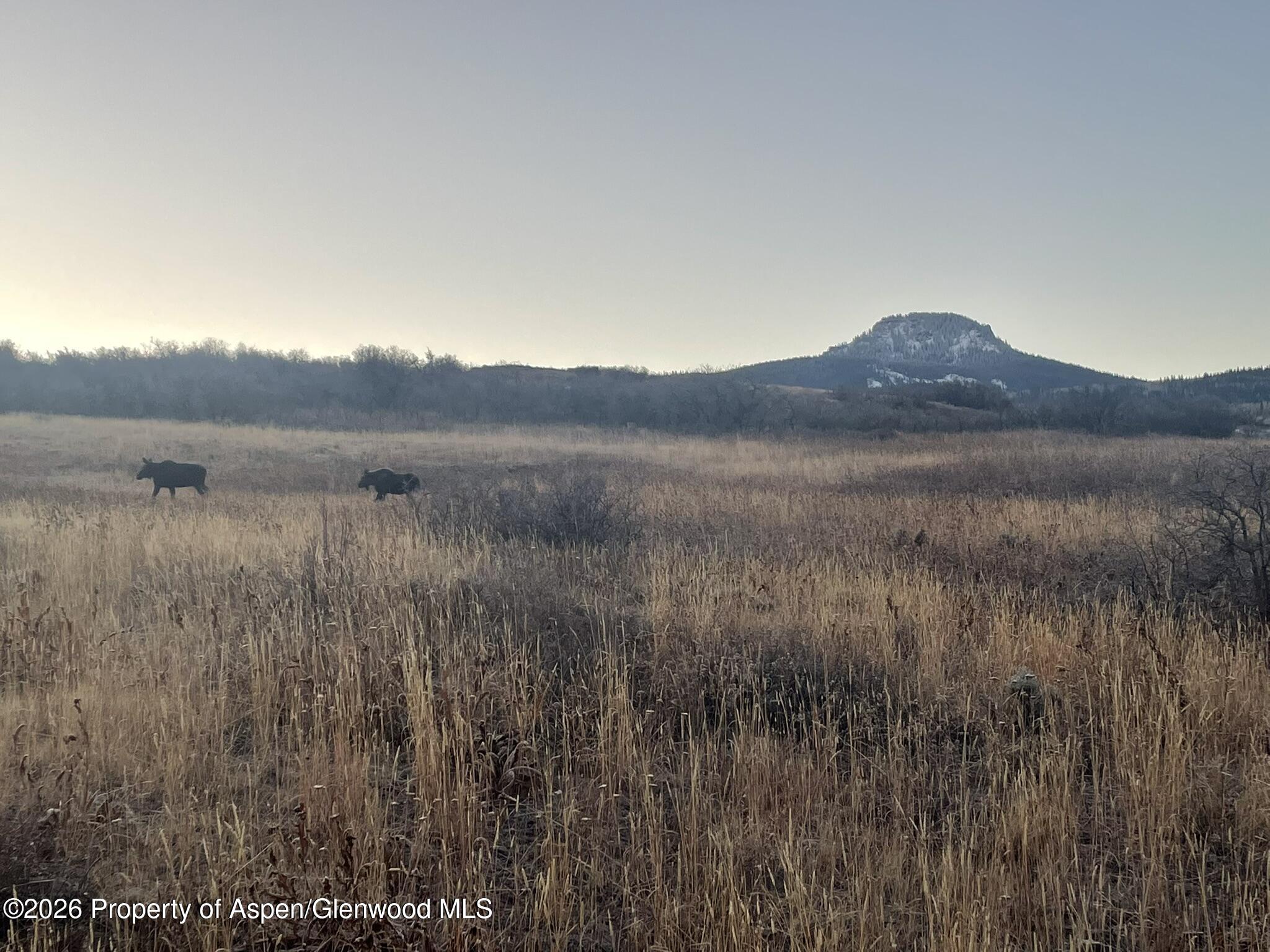 943 Routt Forest Drive Craig, CO 81625 - Photo 7 of 60 74B66897-DC1A-4CF2-8EBD-AAE209ABF563