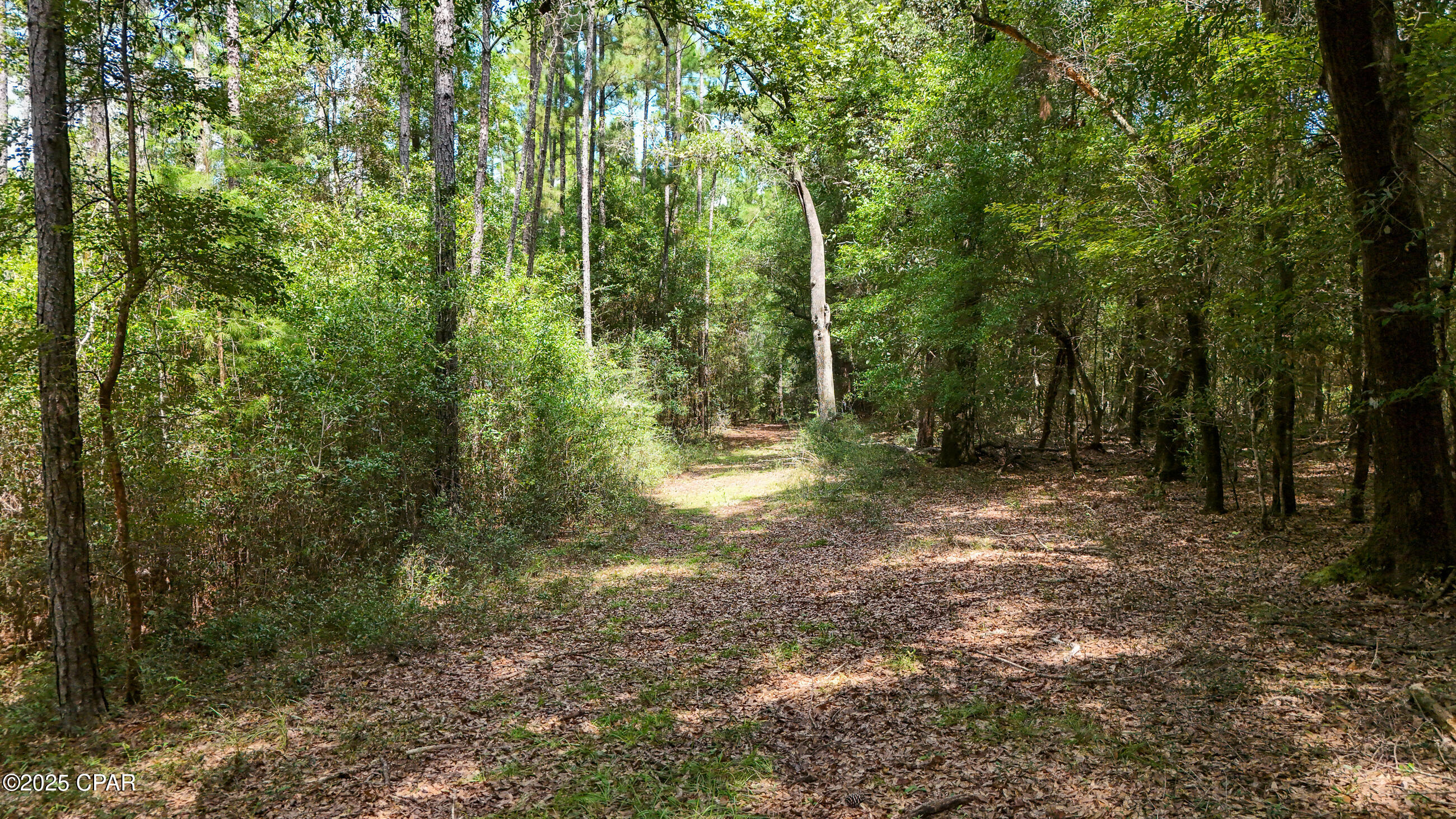 1730 Firetower Road Chipley, FL 32428 - Photo 37 of 49