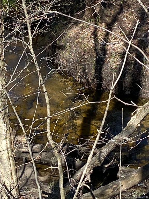 1630 Mertz Road Caro, MI 48723 - Photo 12 of 13