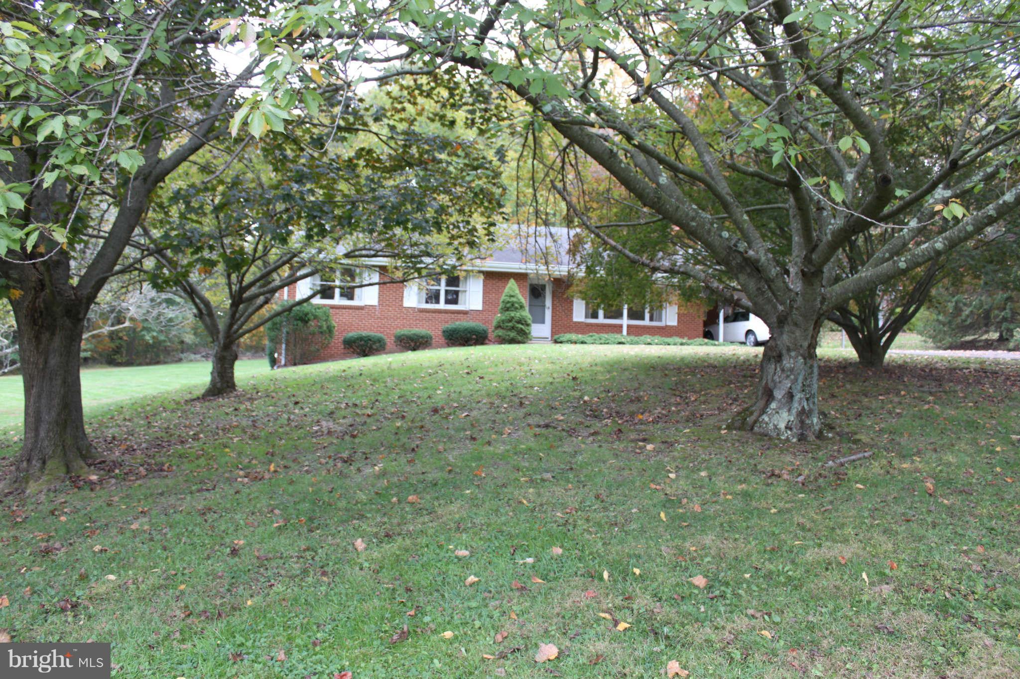 1287 Rossback Road Davidsonville, MD 21035 - Photo 4 of 21 Orchard trees