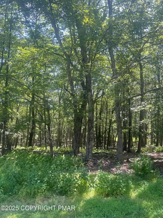 a view of outdoor space and green space