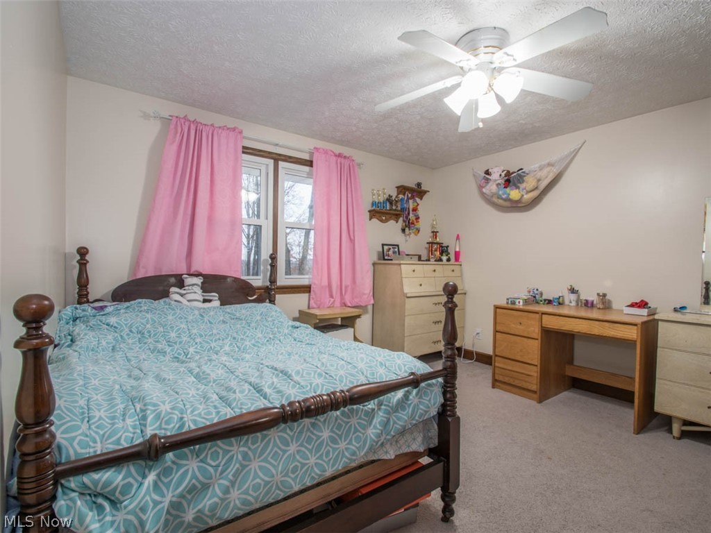 16604 Heiser Road Berlin Center, OH 44401 - Photo 18 of 24 Gallery Image 18