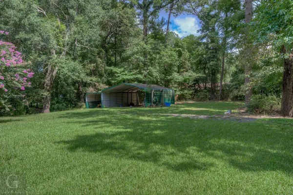 a front view of a house with a yard and a tree
