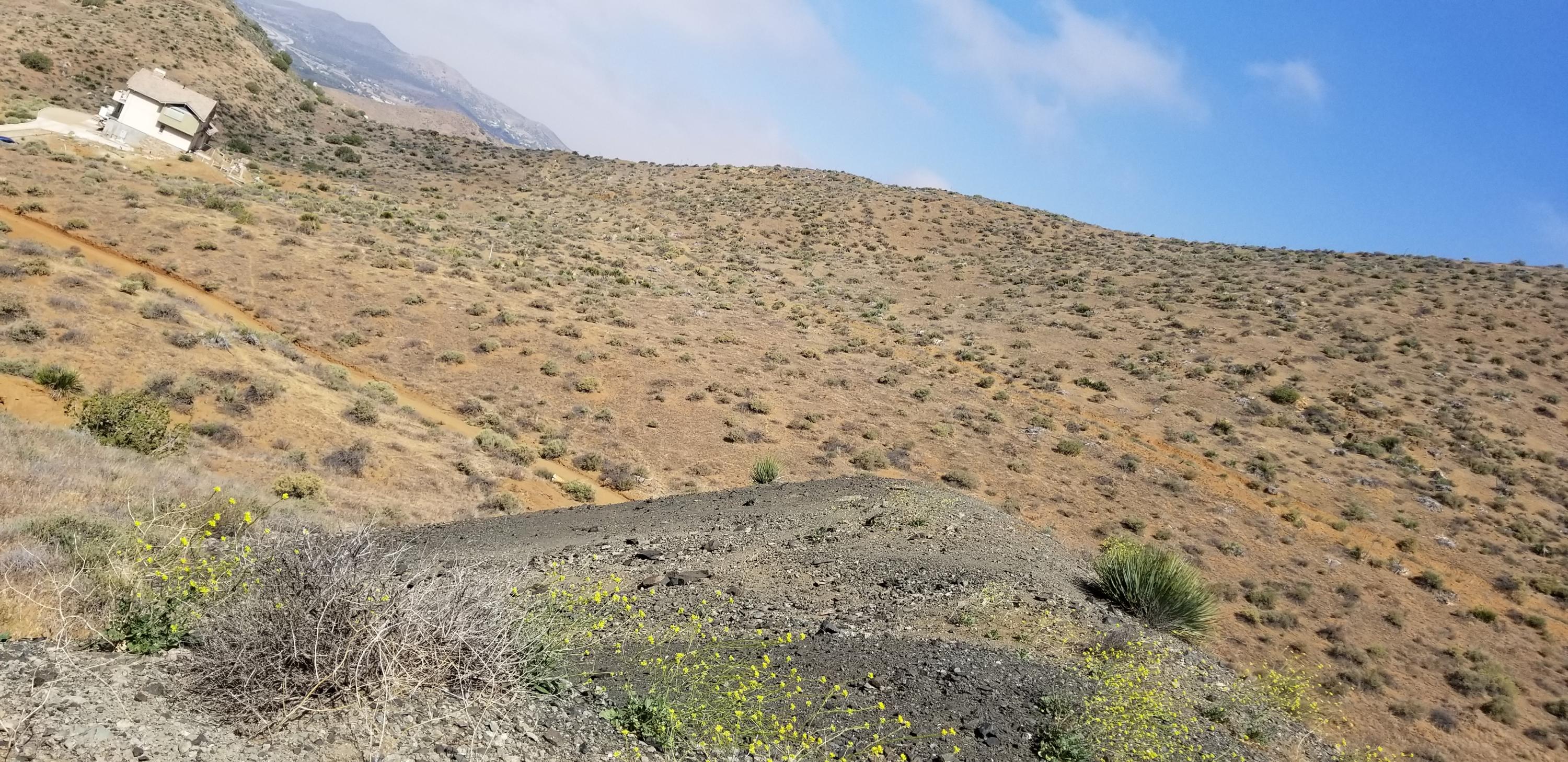 Hypotenuse Road Acton, CA 93510 - Photo 11 of 20 20180522_100556