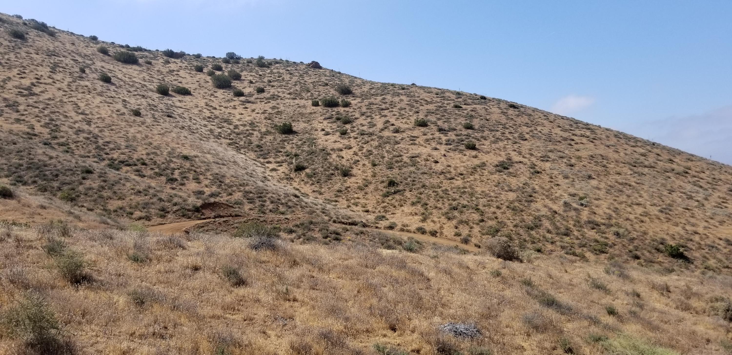 Hypotenuse Road Acton, CA 93510 - Photo 17 of 20 20180522_100941