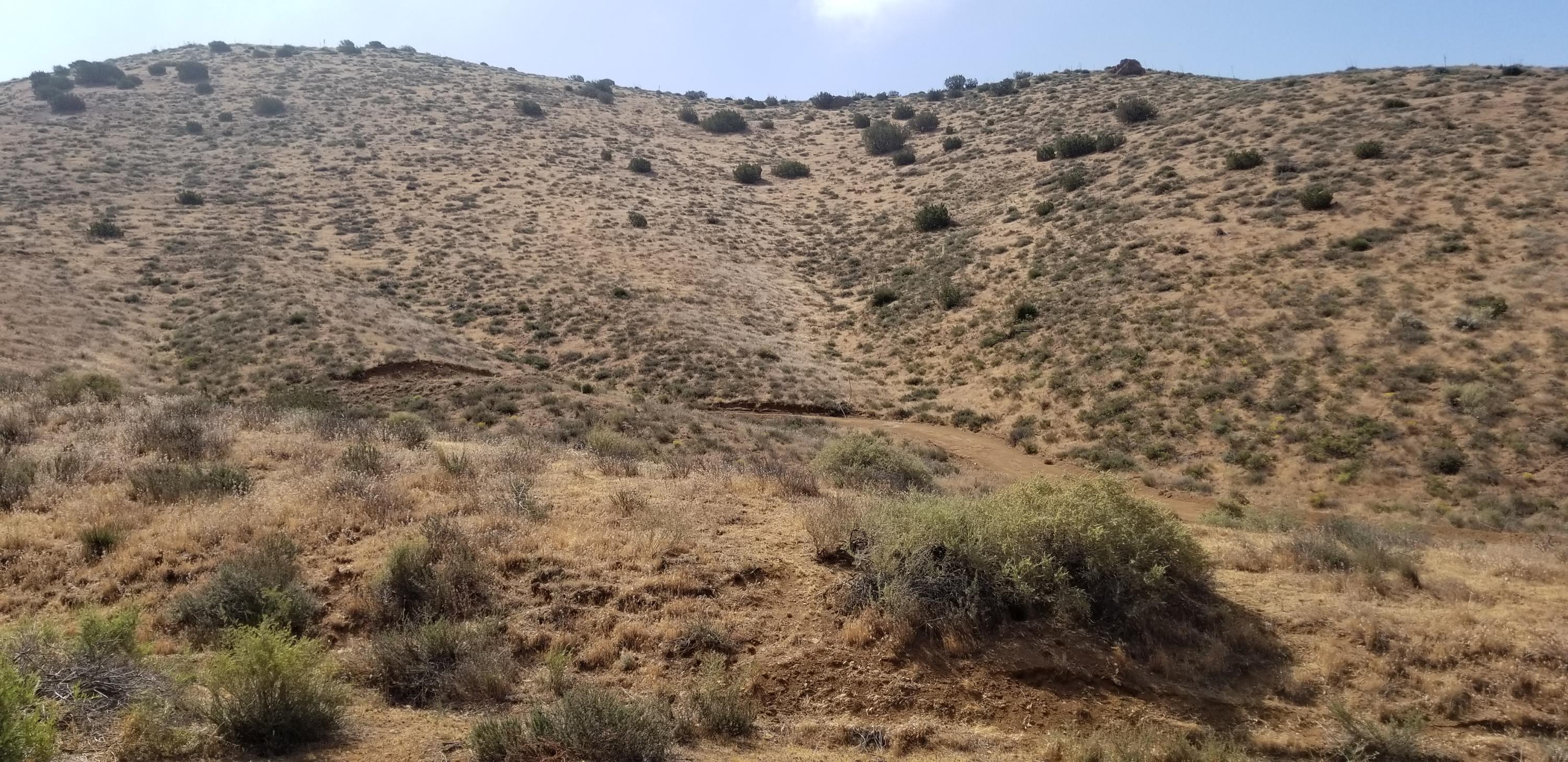 Hypotenuse Road Acton, CA 93510 - Photo 18 of 20 20180522_101006