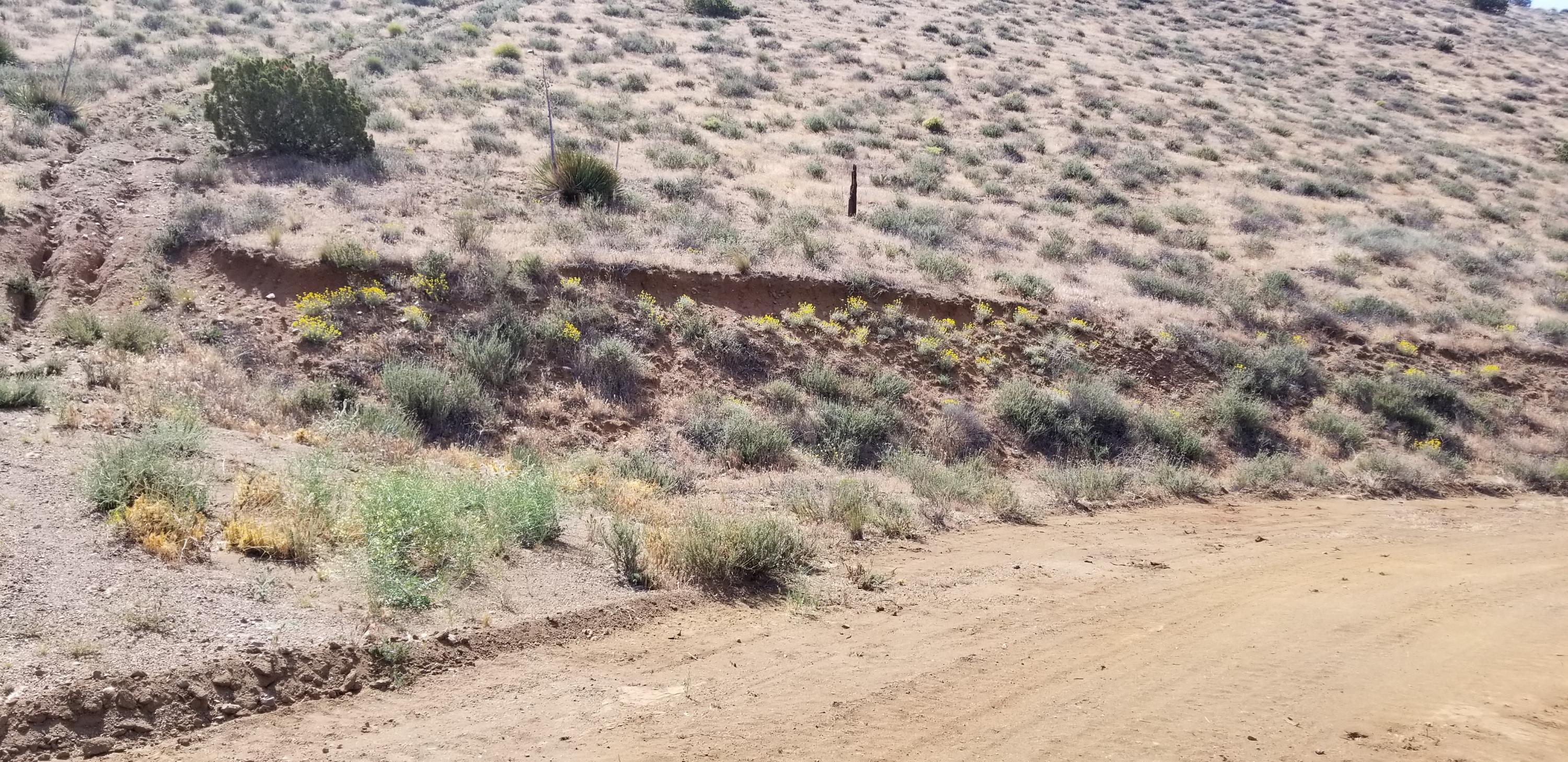 Hypotenuse Road Acton, CA 93510 - Photo 6 of 20 20180522_100320