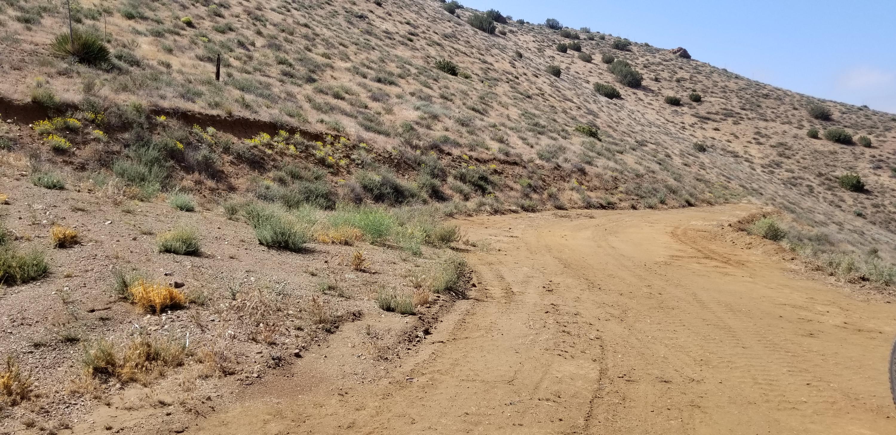Hypotenuse Road Acton, CA 93510 - Photo 9 of 20 20180522_100445