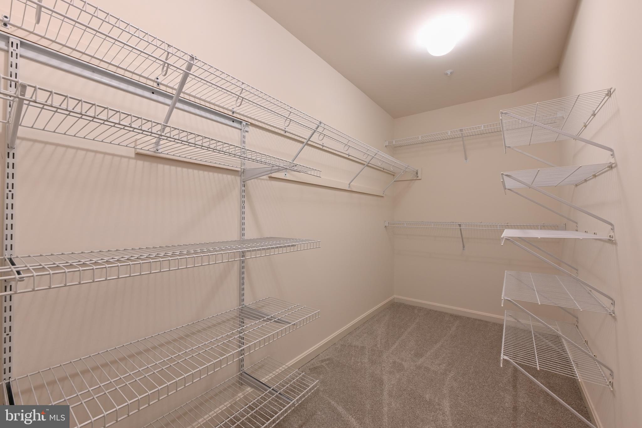 8008 Oat Ridge Court Bowie, MD 20715 - Photo 41 of 55 Primary Walk In Closet