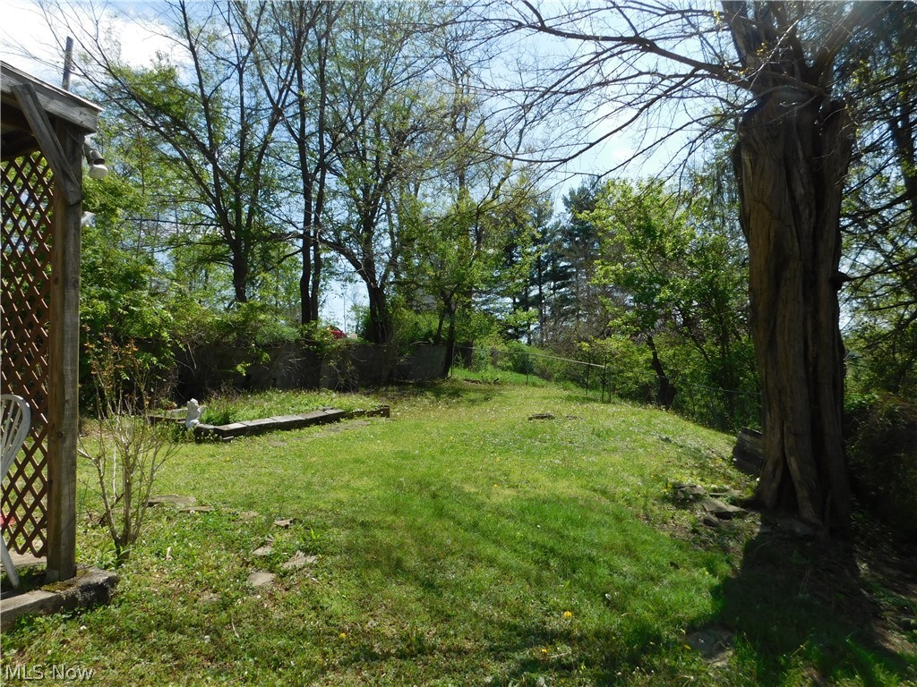 68250 Wrixon Road Bridgeport, OH 43912 - Photo 22 of 27