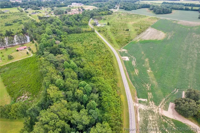 a view of a yard with plants