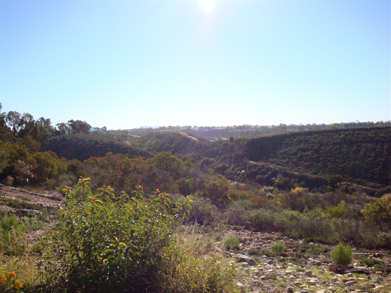 7307 Dancy Road San Diego, CA 92126 - Photo 18 of 19 Gallery Image 18