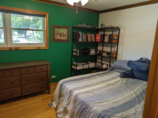 a bedroom with a bed window and a potted plant