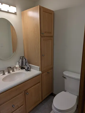 a bathroom with a toilet a sink and mirror