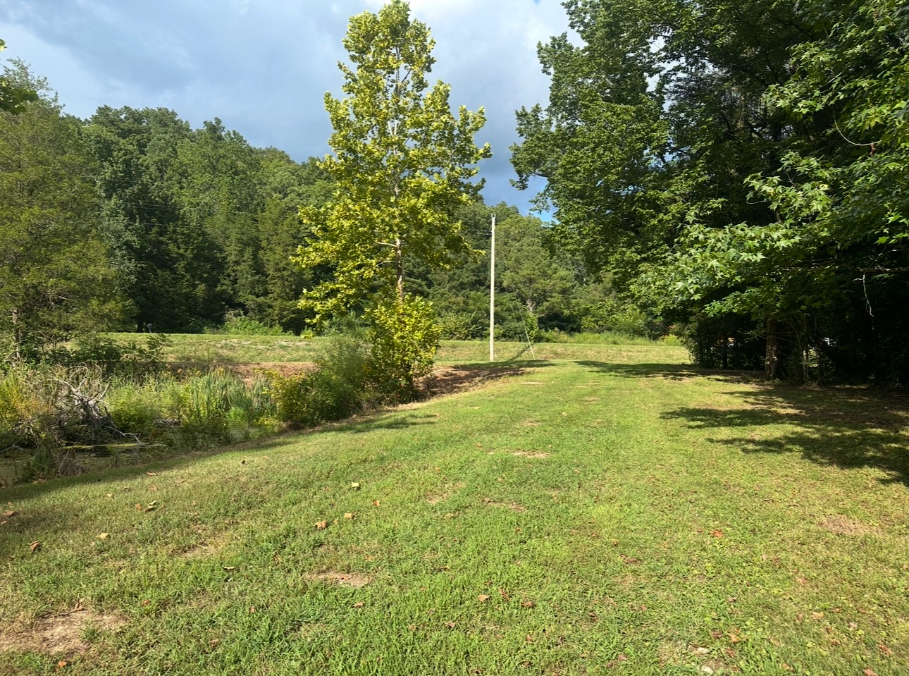 8884 Highway 412 Linden, TN 37096 - Photo 12 of 45 a view of a yard with a tree