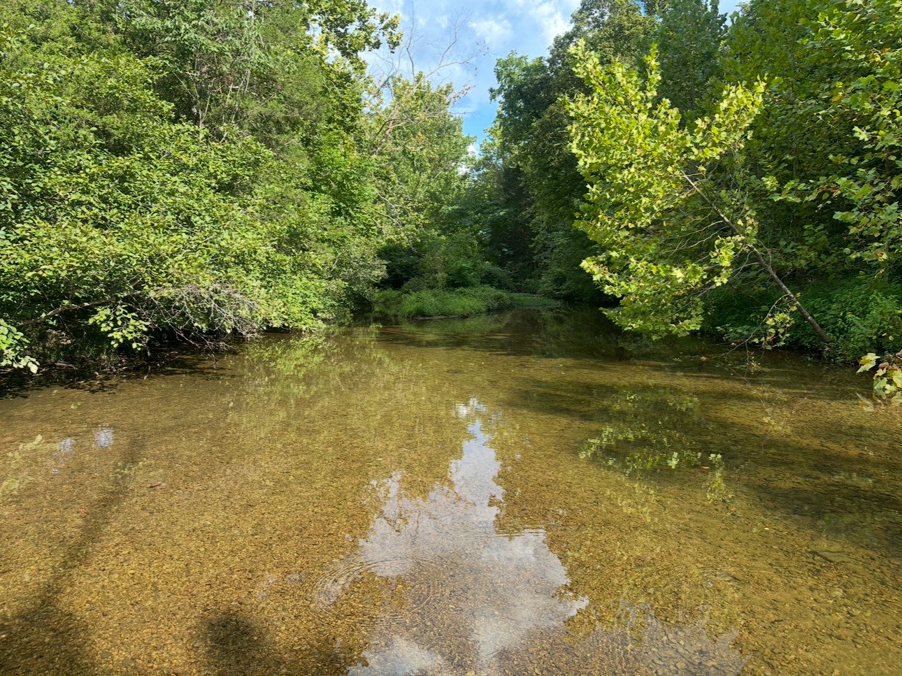 8884 Highway 412 Linden, TN 37096 - Photo 13 of 45 a view of a lake view