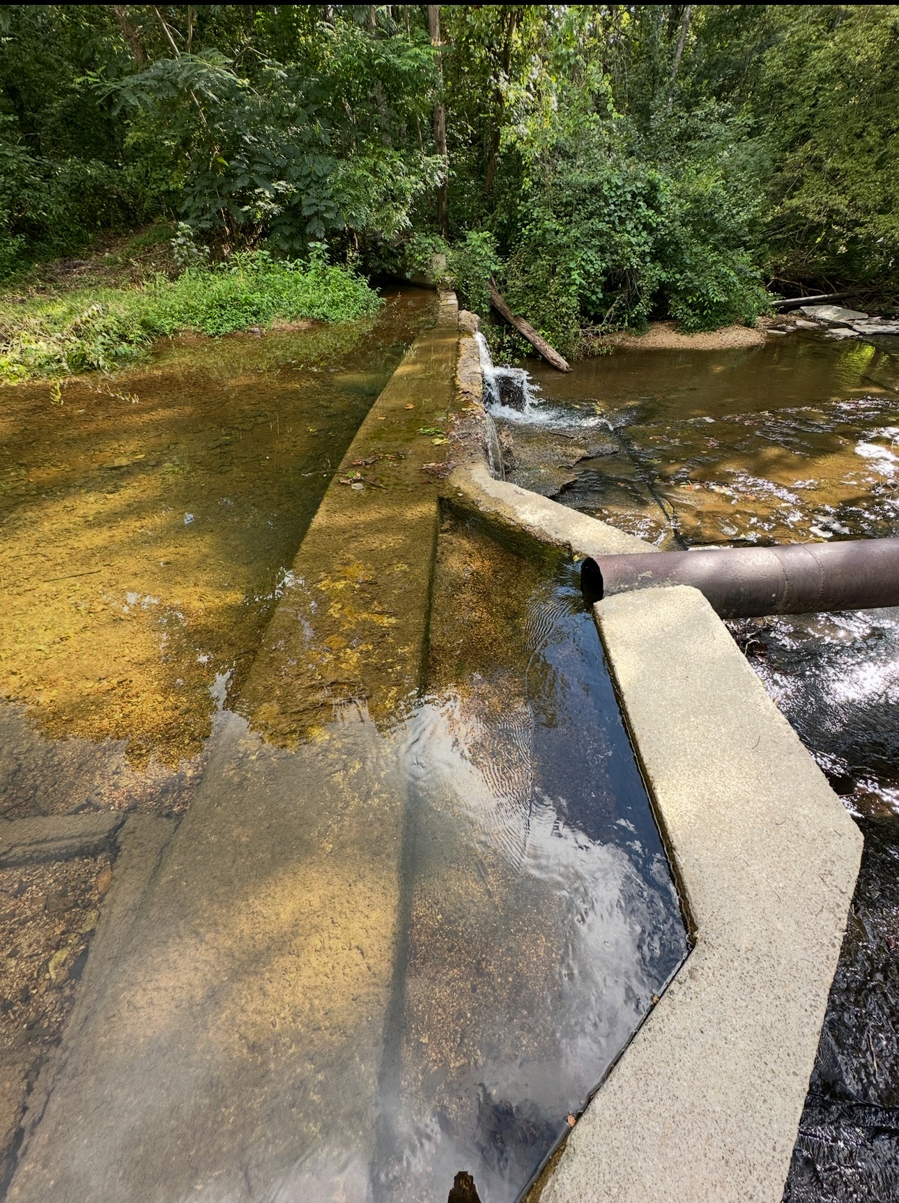 8884 Highway 412 Linden, TN 37096 - Photo 14 of 45 a view of a lake with a yard
