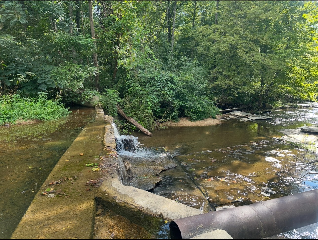 8884 Highway 412 Linden, TN 37096 - Photo 15 of 45 a view of a lake from a balcony