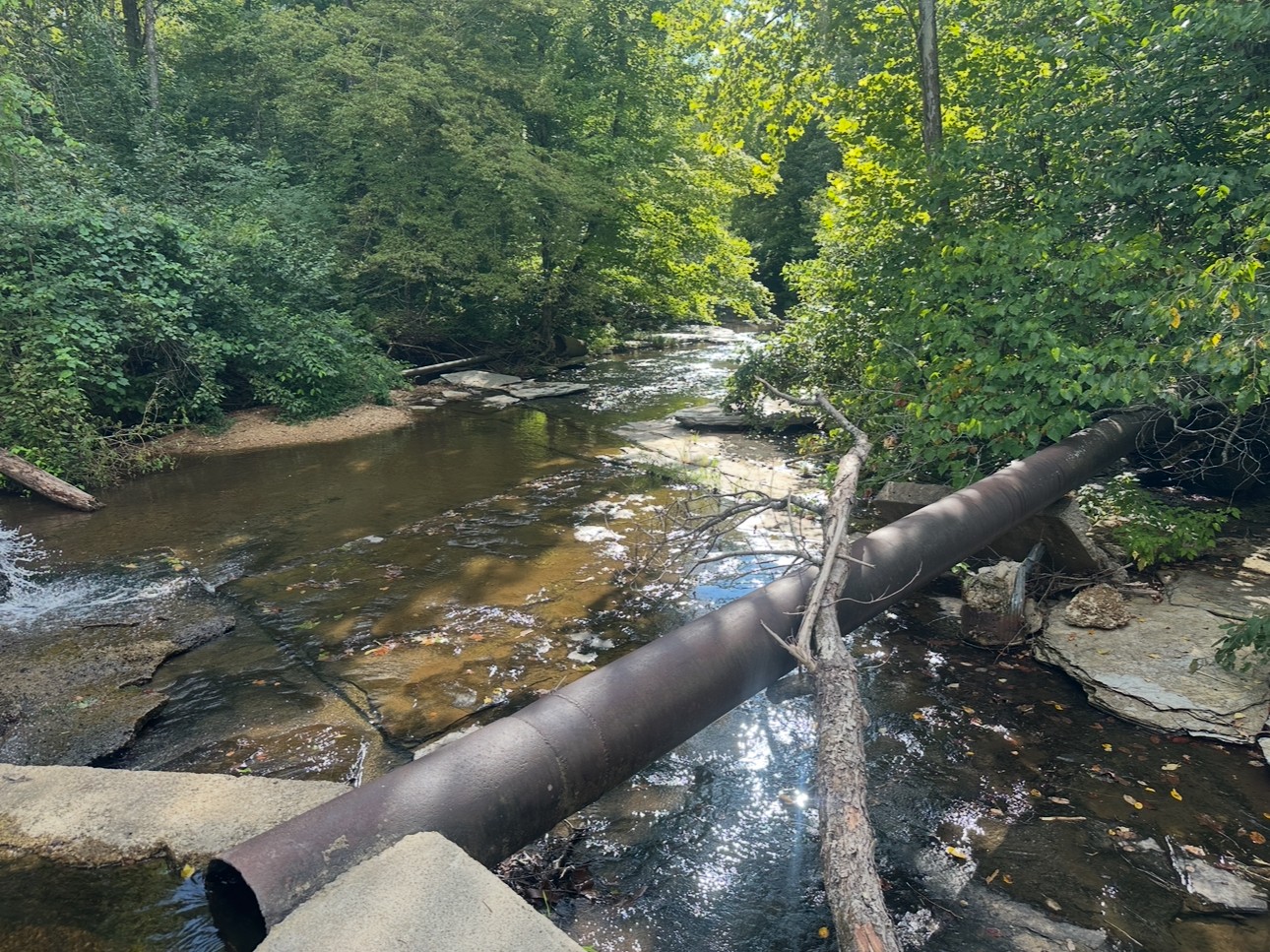 8884 Highway 412 Linden, TN 37096 - Photo 16 of 45 a view of swimming pool from a lake view