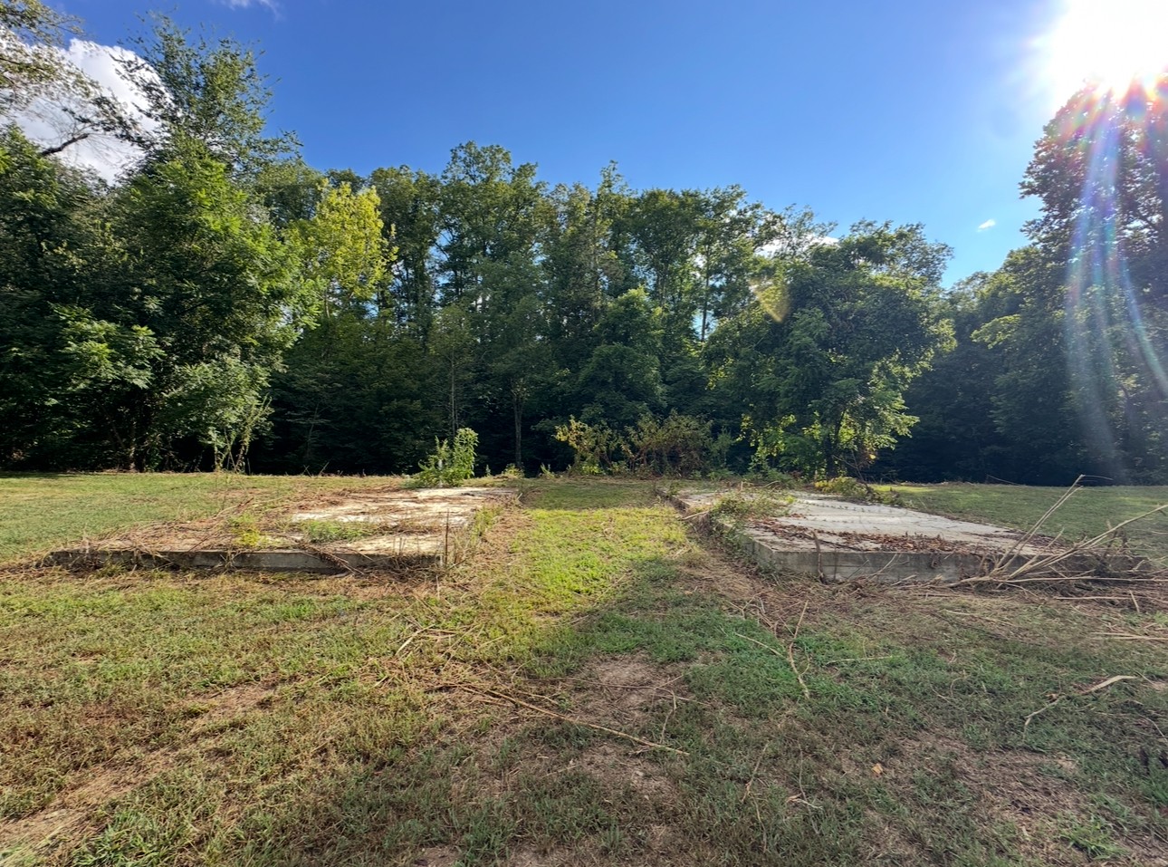 8884 Highway 412 Linden, TN 37096 - Photo 21 of 45 a view of outdoor space with trees all around