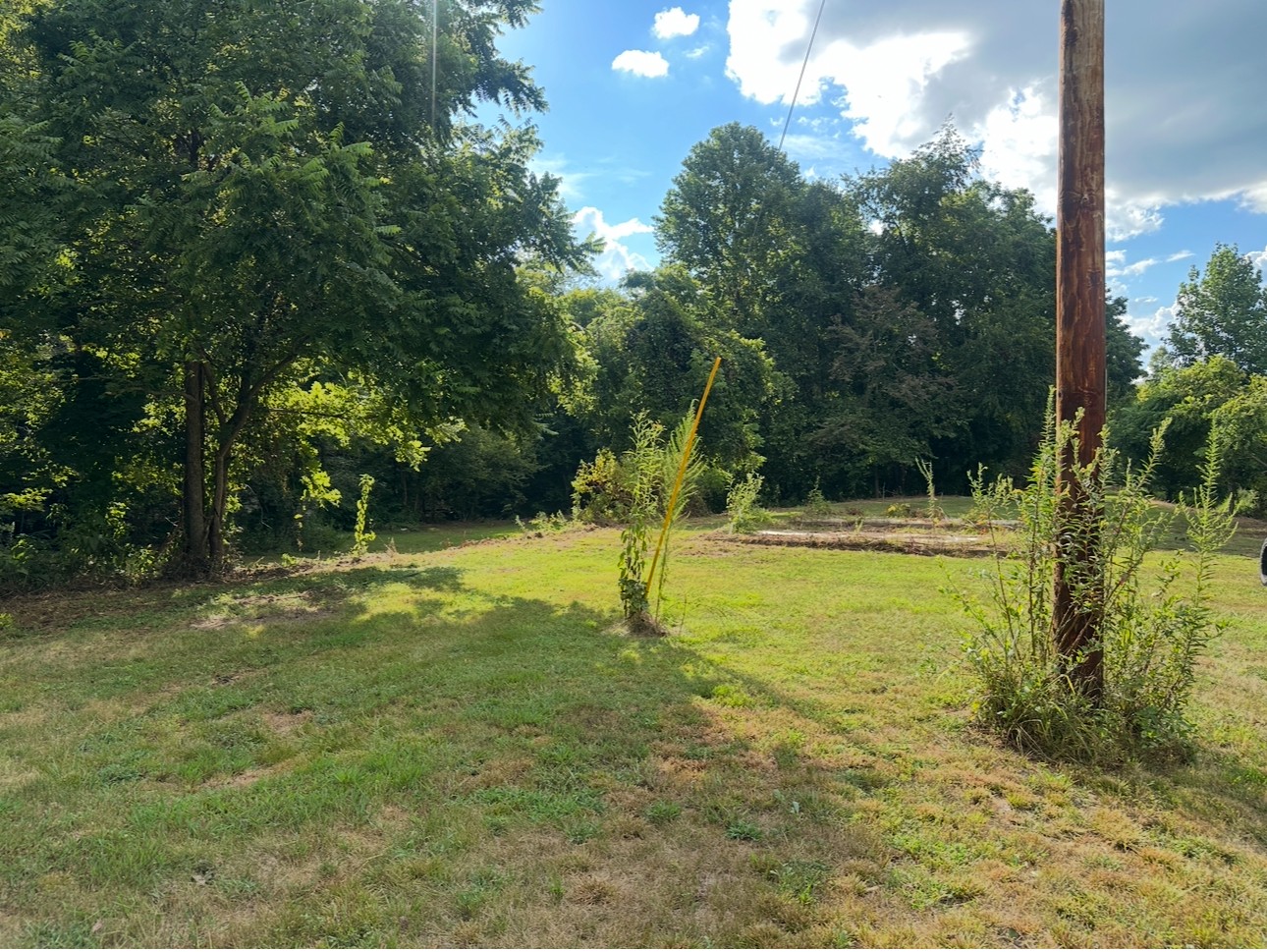 8884 Highway 412 Linden, TN 37096 - Photo 22 of 45 a view of a tree with a yard