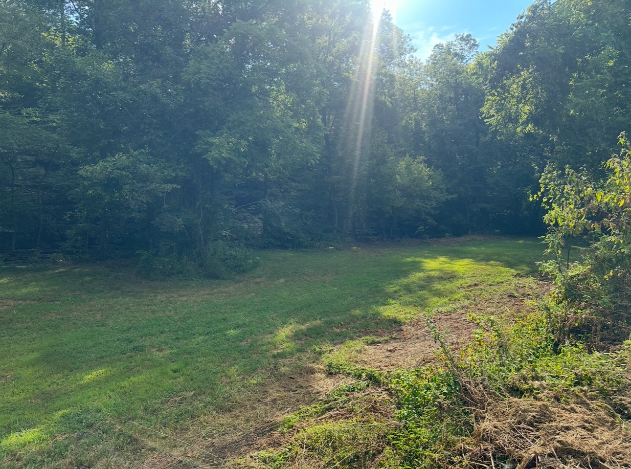 8884 Highway 412 Linden, TN 37096 - Photo 23 of 45 a view of a yard