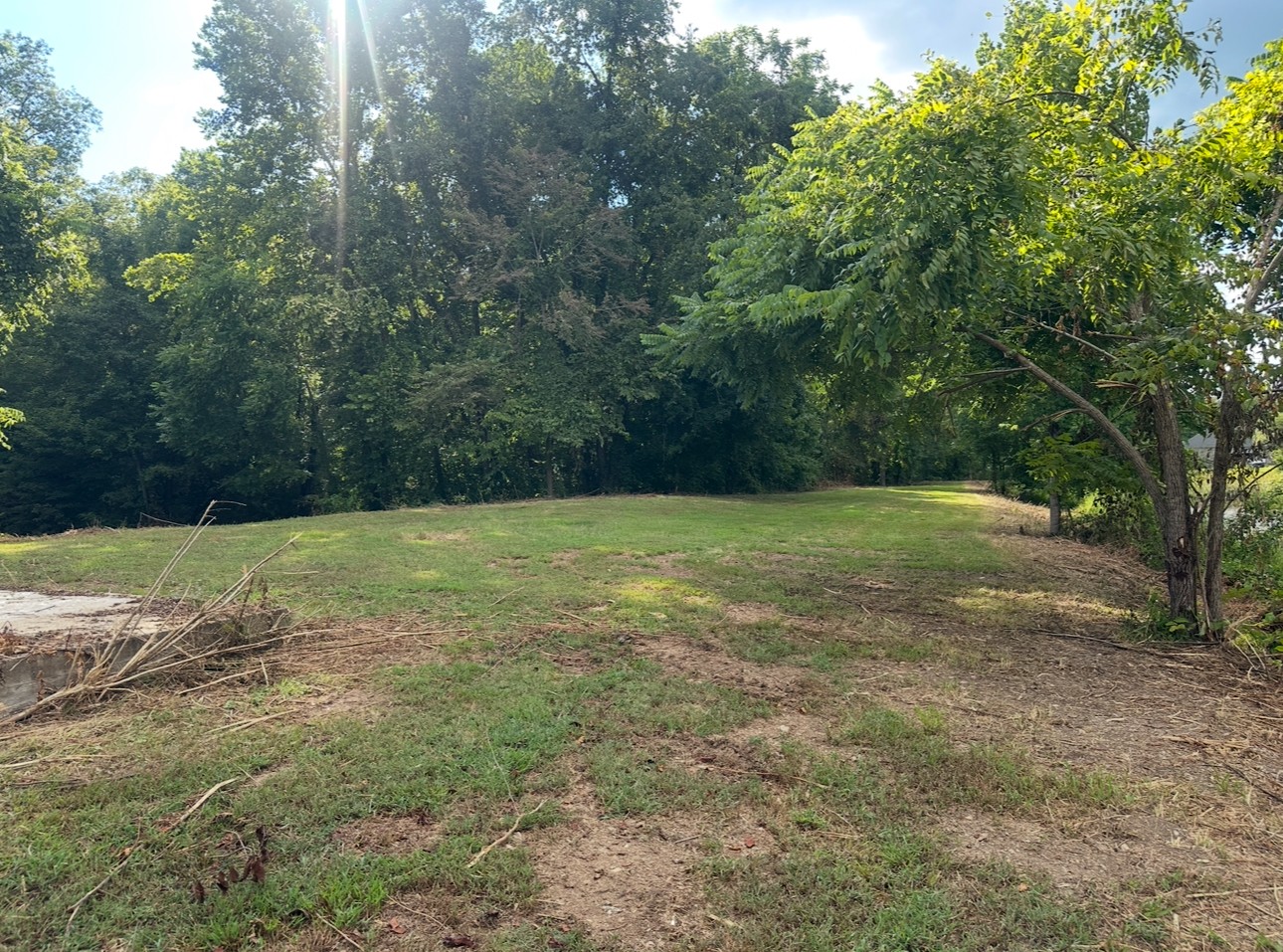 8884 Highway 412 Linden, TN 37096 - Photo 27 of 45 a view of a field with a trees in the background