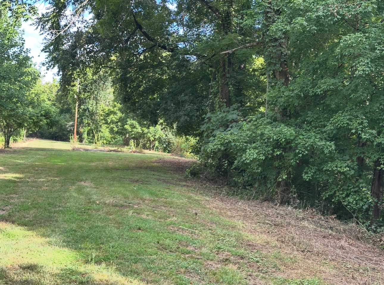 8884 Highway 412 Linden, TN 37096 - Photo 28 of 45 a view of outdoor space and yard