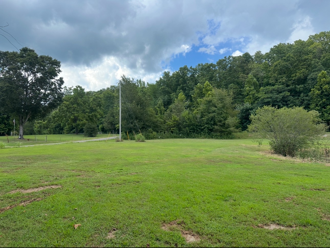 8884 Highway 412 Linden, TN 37096 - Photo 30 of 45 a view of a field with a big yard