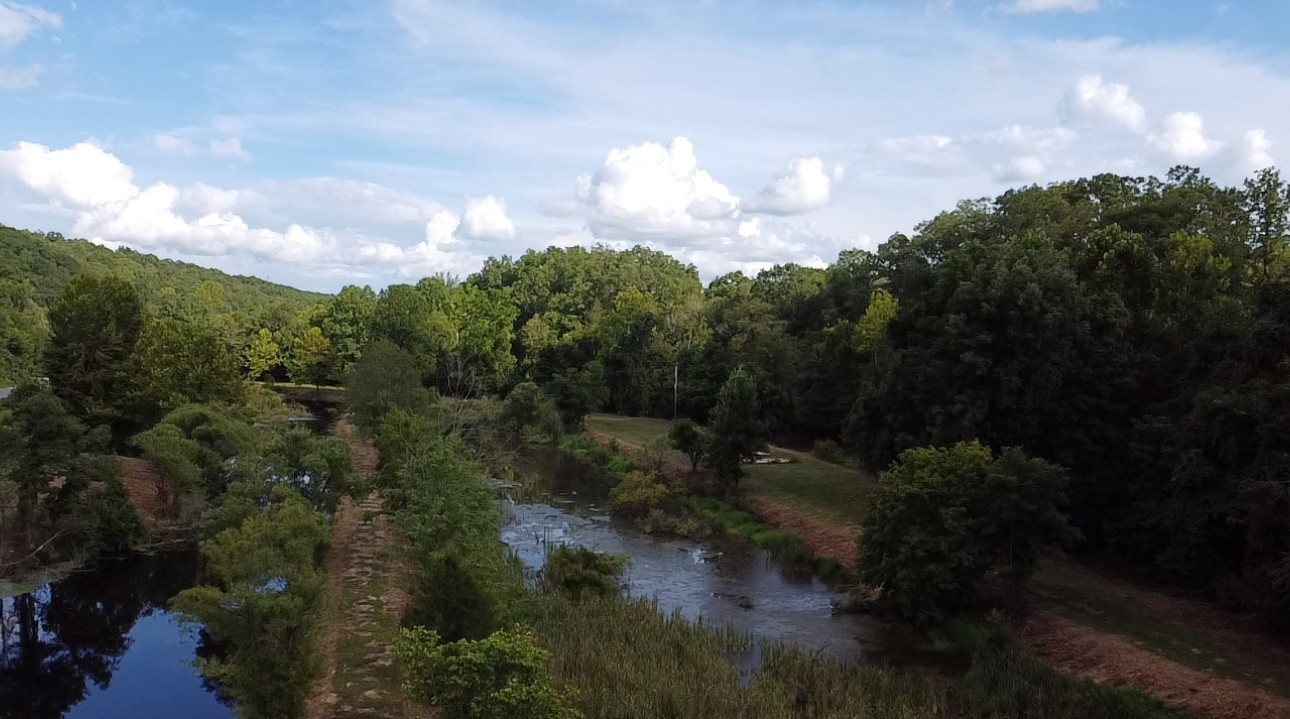 8884 Highway 412 Linden, TN 37096 - Photo 34 of 45 a view of a lot of trees