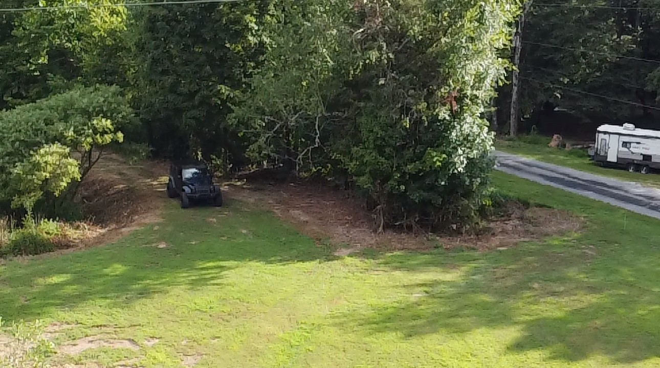 8884 Highway 412 Linden, TN 37096 - Photo 39 of 45 a view of a backyard with plants and trees