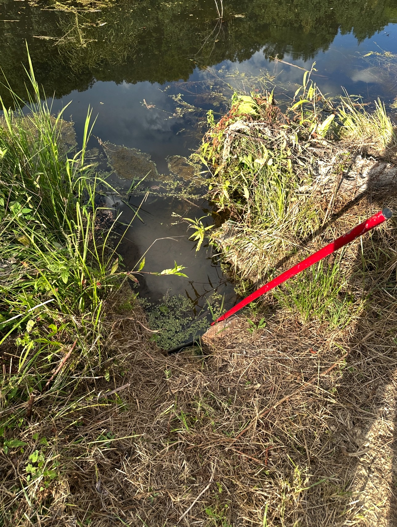 8884 Highway 412 Linden, TN 37096 - Photo 40 of 45 a view of a small yard