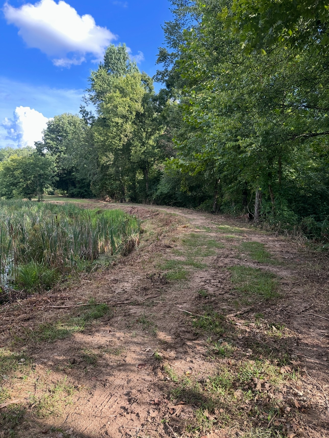 8884 Highway 412 Linden, TN 37096 - Photo 41 of 45 a view of a field with trees in the background