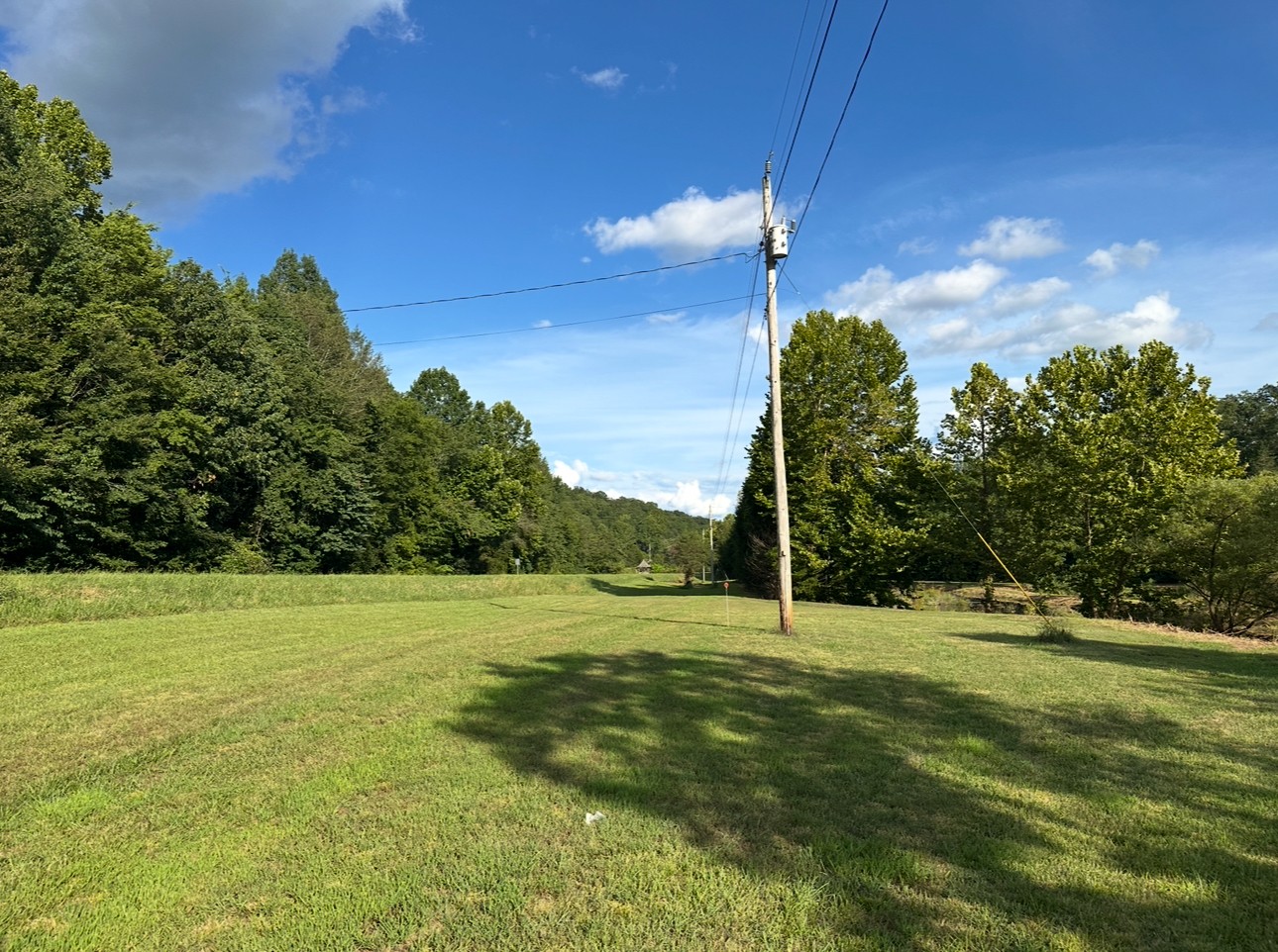 8884 Highway 412 Linden, TN 37096 - Photo 42 of 45 a view of a field with an trees